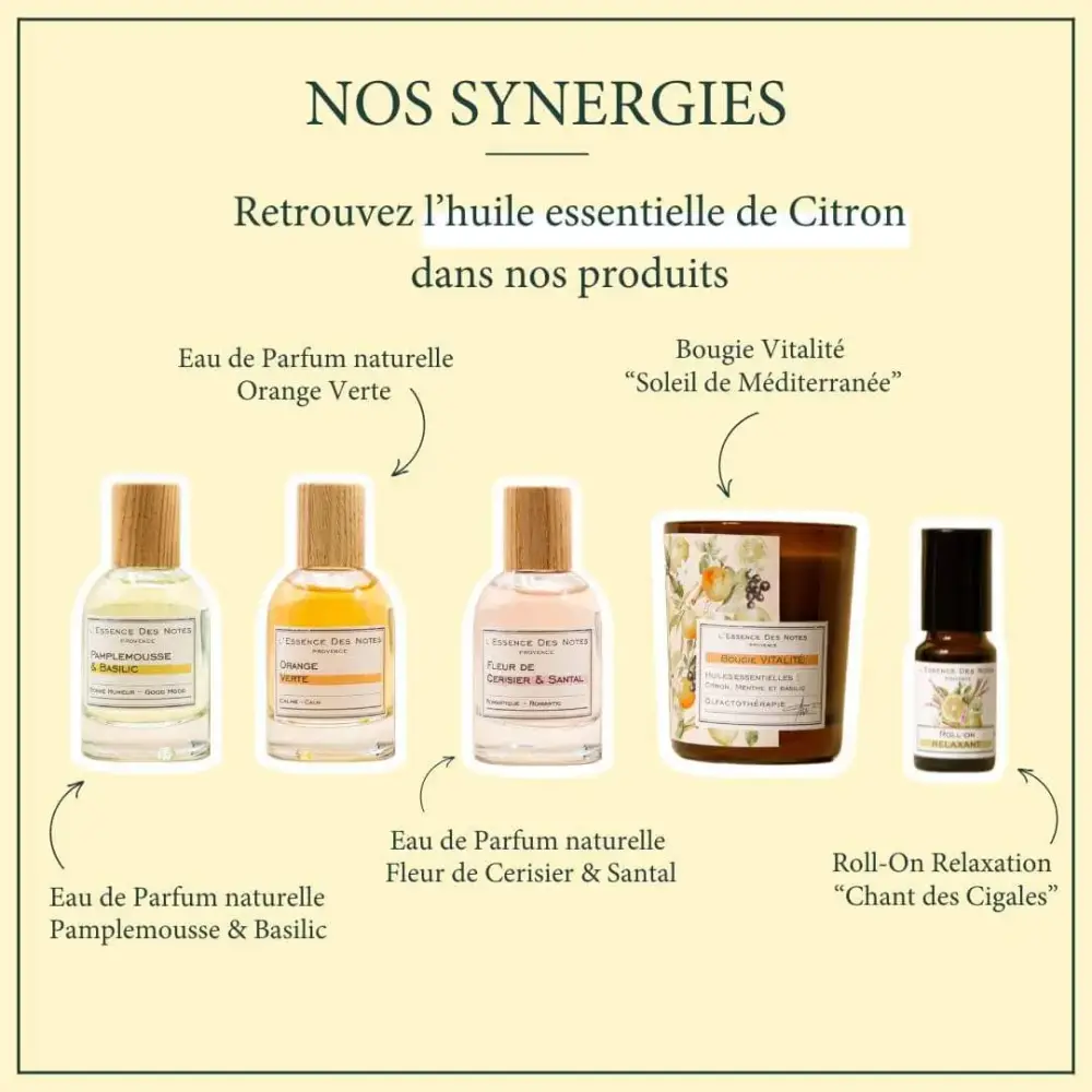 synergie les sens des notes
